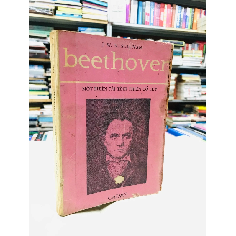 Beethoven Một Phiến Tài Tình Thiên Cổ Luỵ - Hoài Khanh dịch 130132