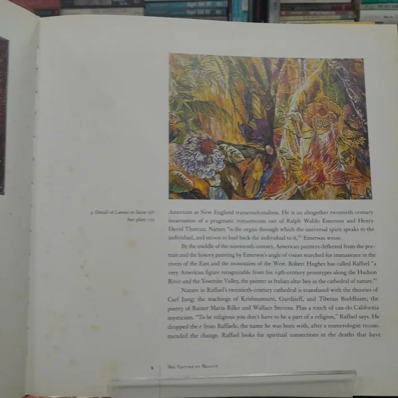 RELECTIONS OF NATURE: PAINTINGS BY JOSEPH RAFFAEL 572649