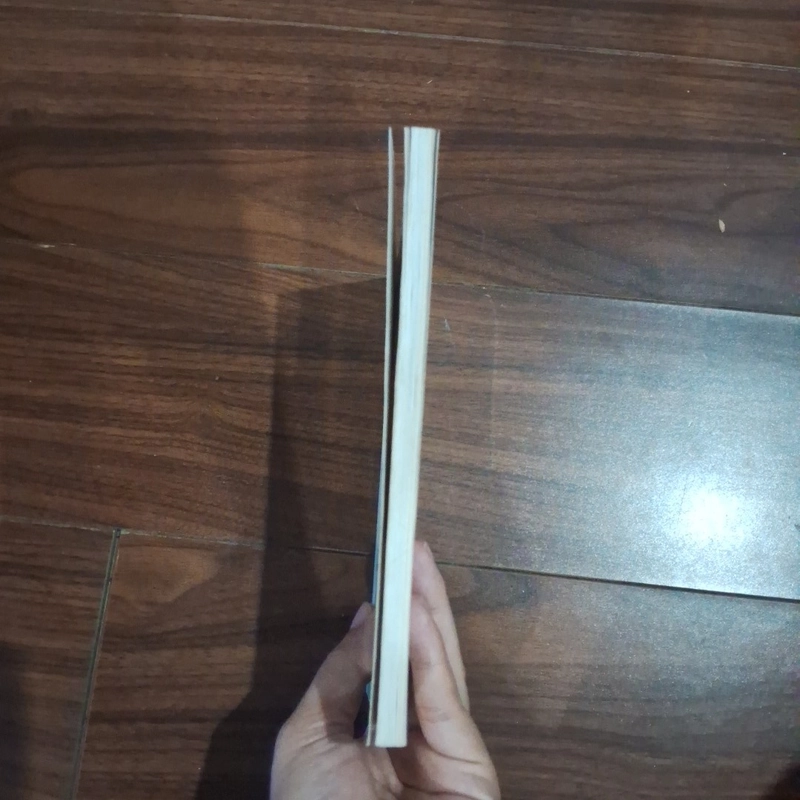 Chuyện nội cung cựu hoàng bảo đại 510832