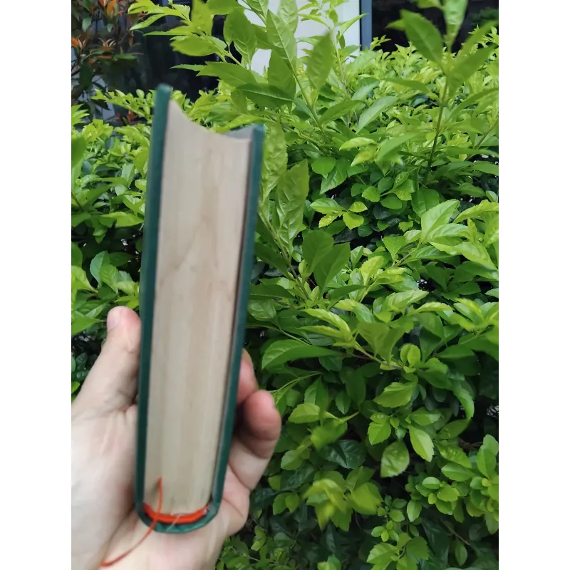 Tsapaep của Fuốc ma nốp 936559