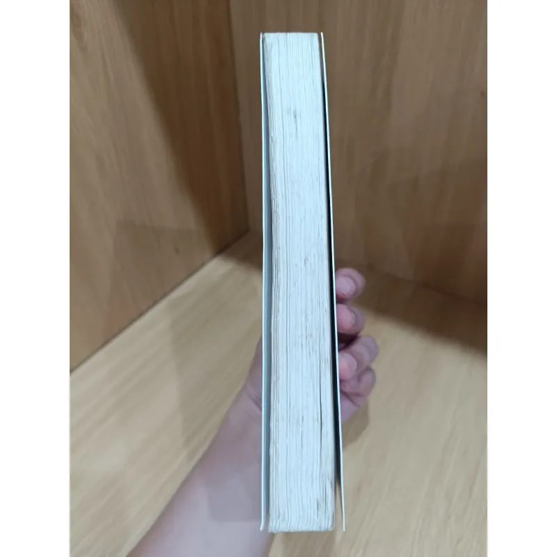 Đường tới Điện Biên Phủ - hồi ký đại tướng Võ Nguyên Giáp  1046072