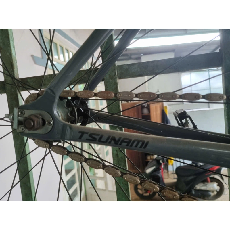 xe fixed gear 547936