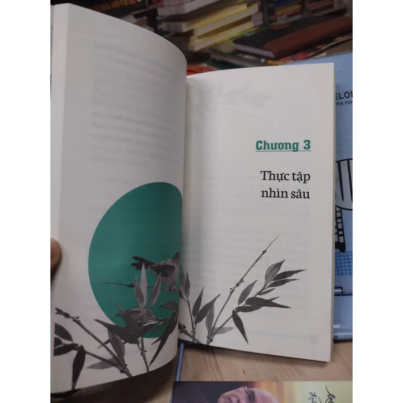 Sách: Không diệt không sinh đừng sợ hãi - TG: Thích Nhất Hạnh (B1) 781855