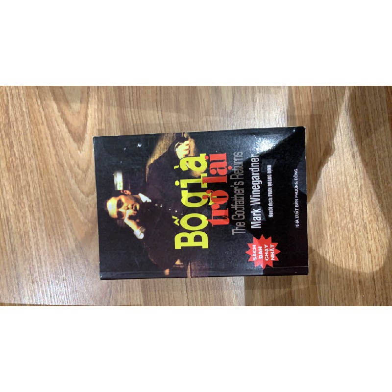 Tiểu thuyết Bố già trở lại 20579