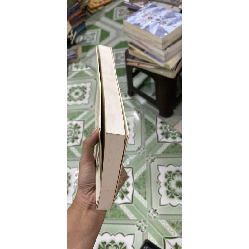 Nếu Gặp Người Ấy Cho Tôi Gửi Lời Chào - Ichikawa Takuji, mới 80% (KimT) 531990