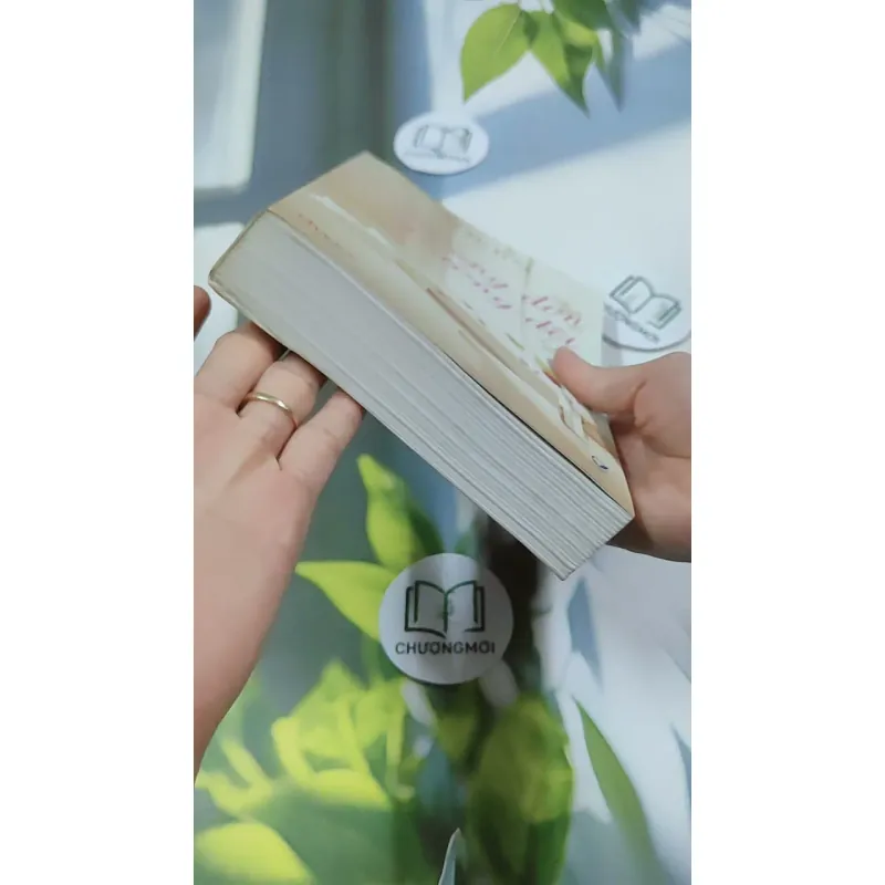 Giường Đơn Hay Giường Đôi - Cầm Sắt Tỳ Bà 744730