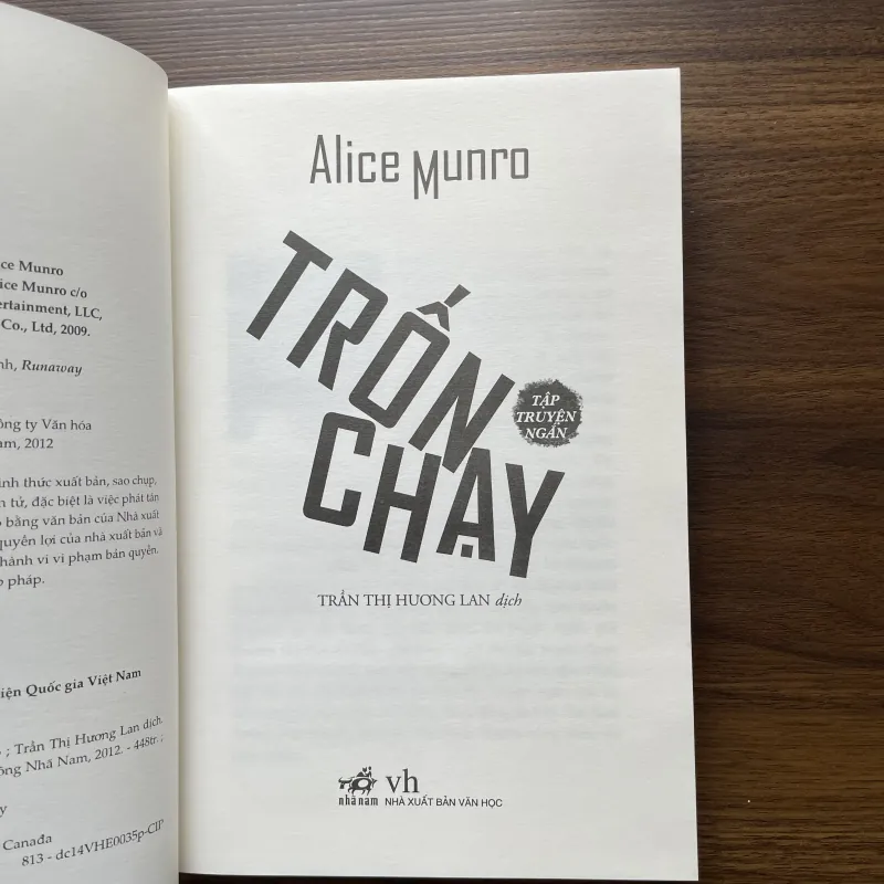 Trốn chạy - Alice Munro 975001