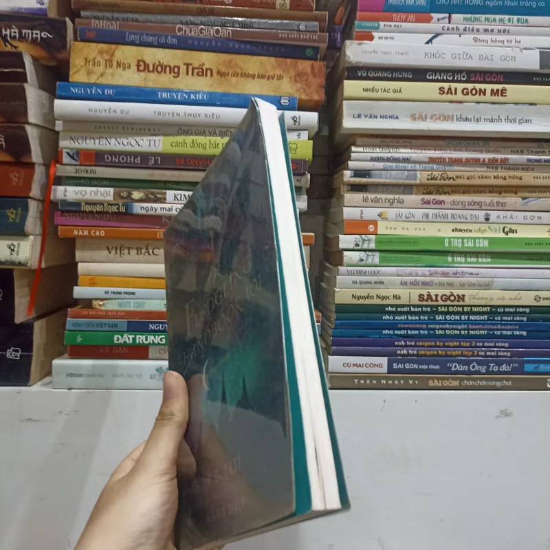 The Fledgling Handbook 101 🌱 726689