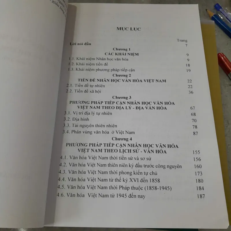 NHÂN HỌC VĂN HÓA VIỆT NAM - HOÀNG NAM 1022180