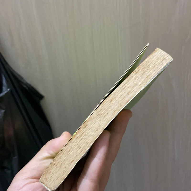 Ngọc của Sài Gòn - Nguyễn Thị Minh Ngọc 970293