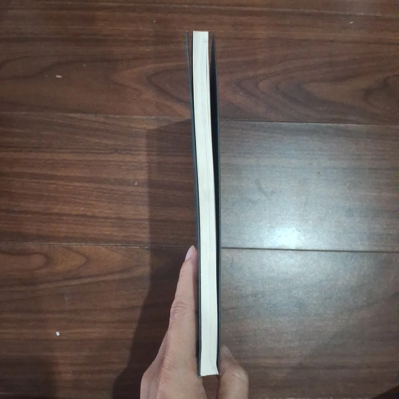 Hành lang h tối  525214
