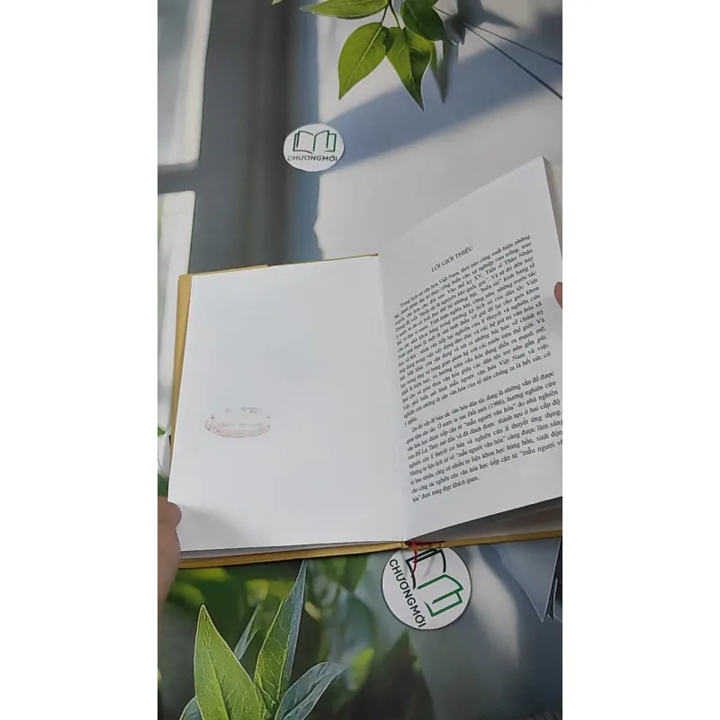 [MIỄN PHÍ BỌC SÁCH] Đinh Nho Hoàn - Thân Thế và Sự Nghiệp 990363