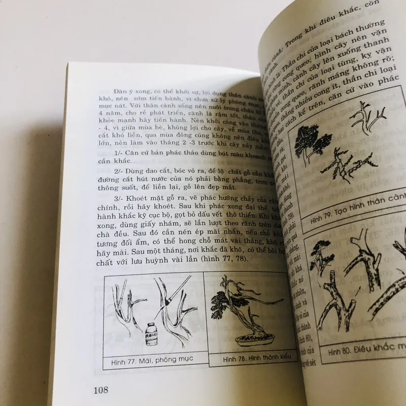 NGHỆ THUẬT CHẾ TÁC CHẬU CẢNH 698194