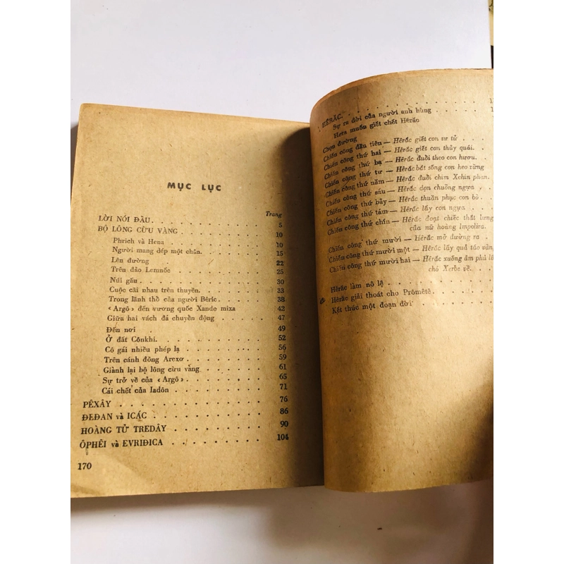 BỘ LÔNG CỪU VÀNG  529551