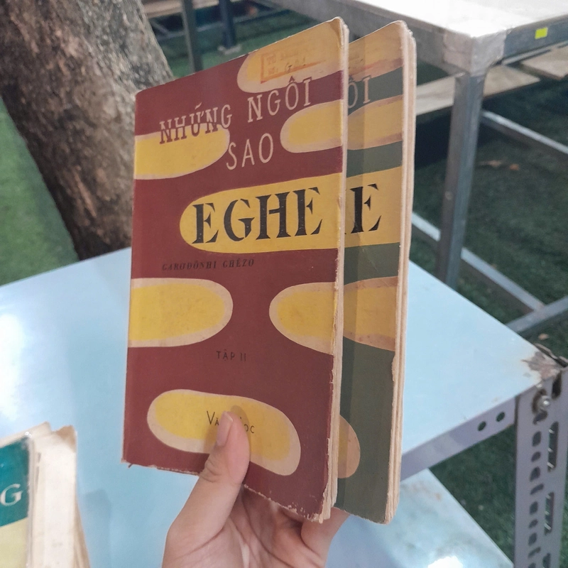 NHỮNG NGÔI SAO EGHE - GARƠĐÔNHI GHÊZO 446503