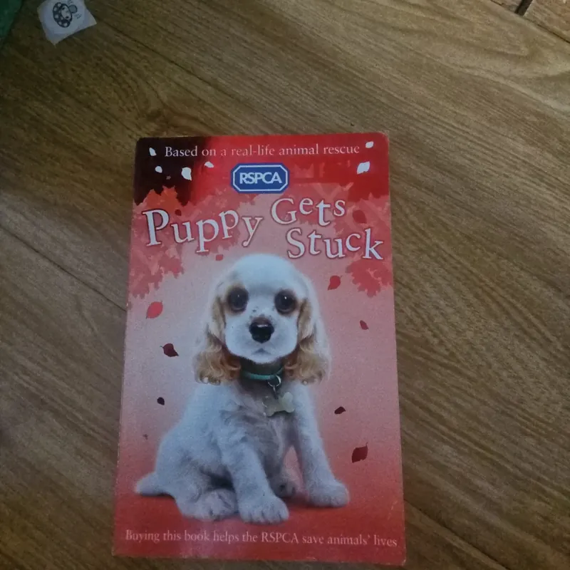 Puppy Gets Stuck Giá 20k  604032