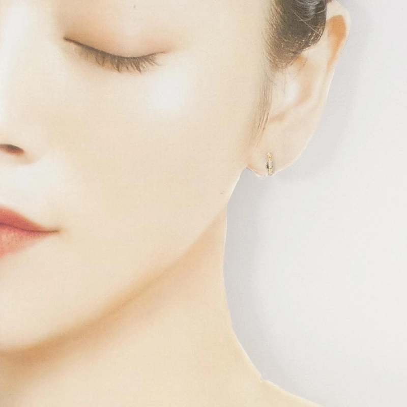 Bông tai Tiffany Fleur de Lis Stem - Hàng hiệu Authentic 843305