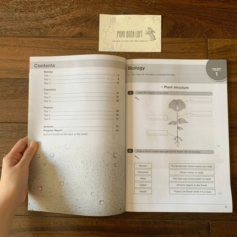 Sách ngoại văn Letts KS2 Revision Success - KS2 Science: Tests, Used 519466