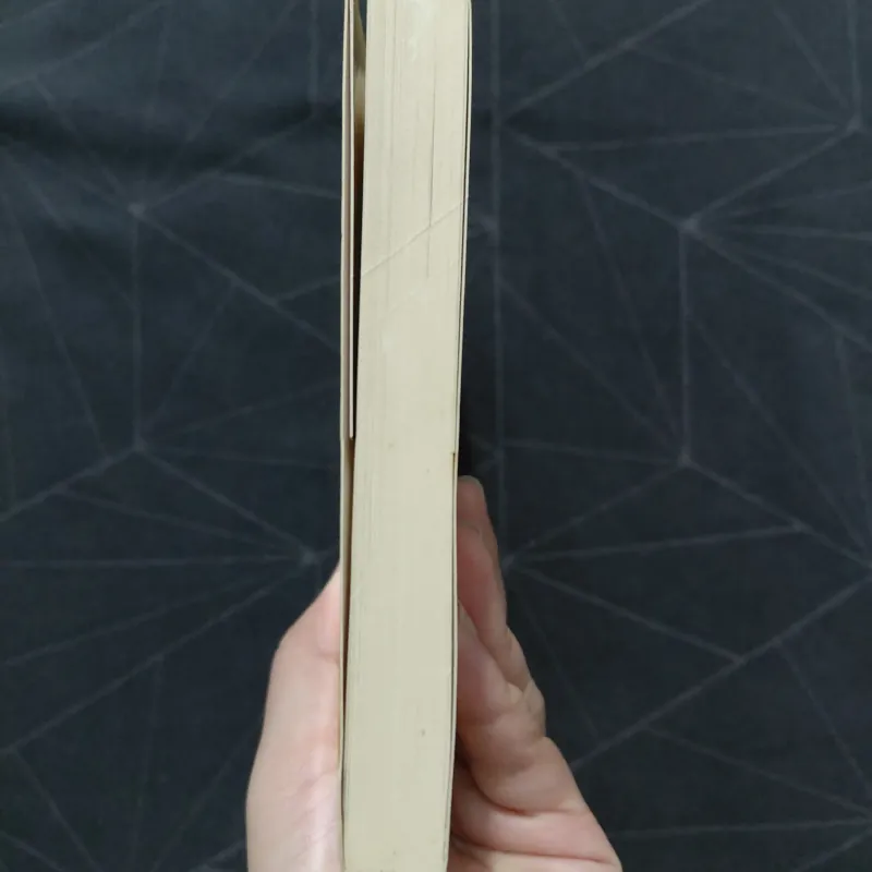 "Mối tình đầu" - Veronique Olmi 1026587