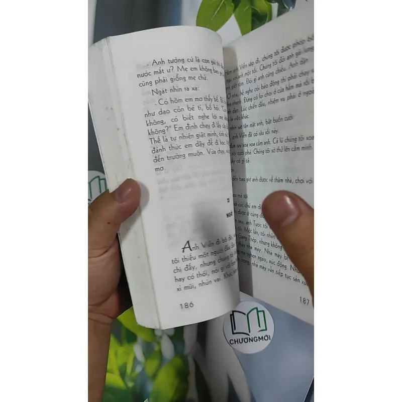 Hạt Chò Chỉ - Lê Minh 798479