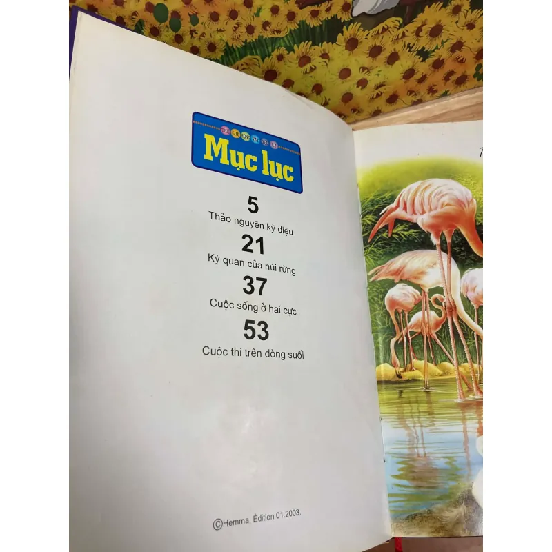 Thảo Nguyên Kỳ Diệu 928075