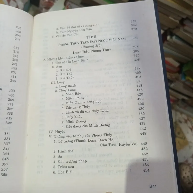 Nghiên Cứu Phong Thủy & Phong Thủy Việt Nam dưới góc độ khoa học - Ngô Nguyên Phi 1031400