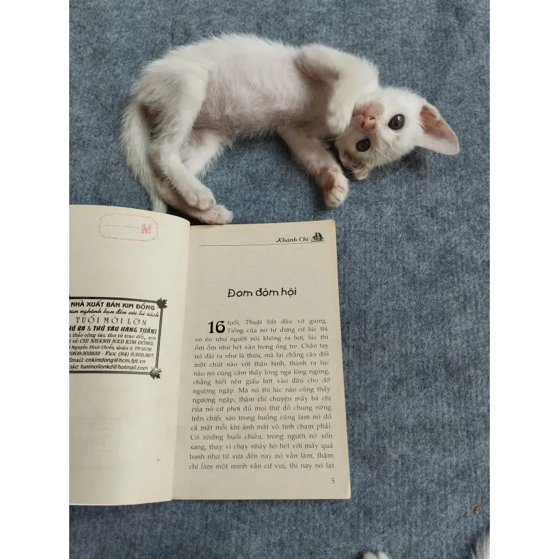 MƯA BÓNG MÂY - KHÁNH CHI 567812
