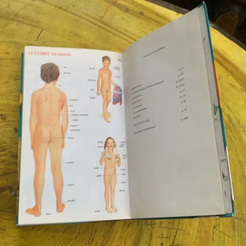 DICTIONNAIRE LE ROBERT  BENJAMIN CP-CE 6.8 ans & JUNIOR 8/11 ans  CE-CM ILLUSSTRE 747358