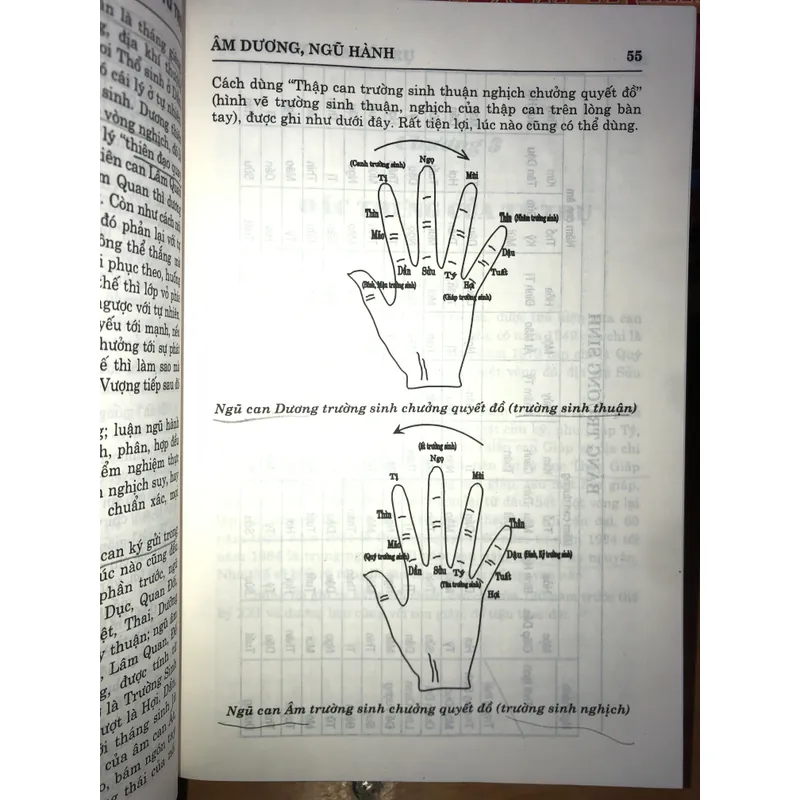 Dự đoán theo Tứ trụ 707684
