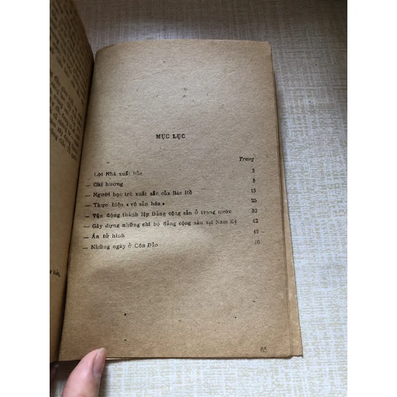 Ngô Gia Tự người cộng sản lỗi lạc-Thế Văn 971355