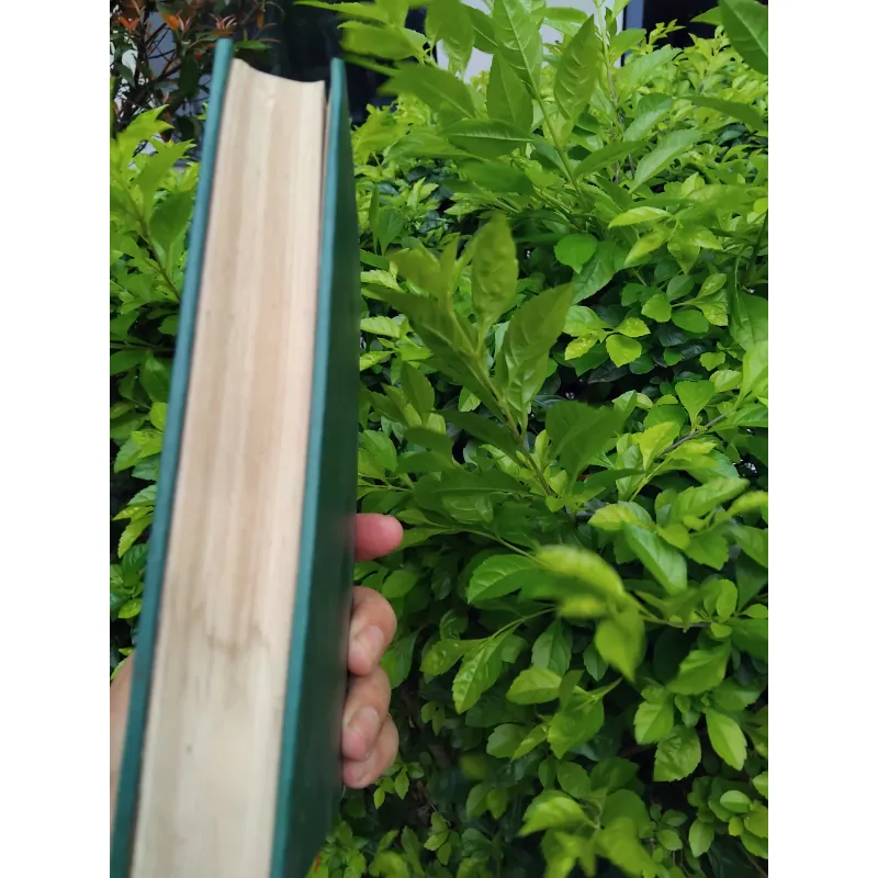 Tsapaep của Fuốc ma nốp 936559