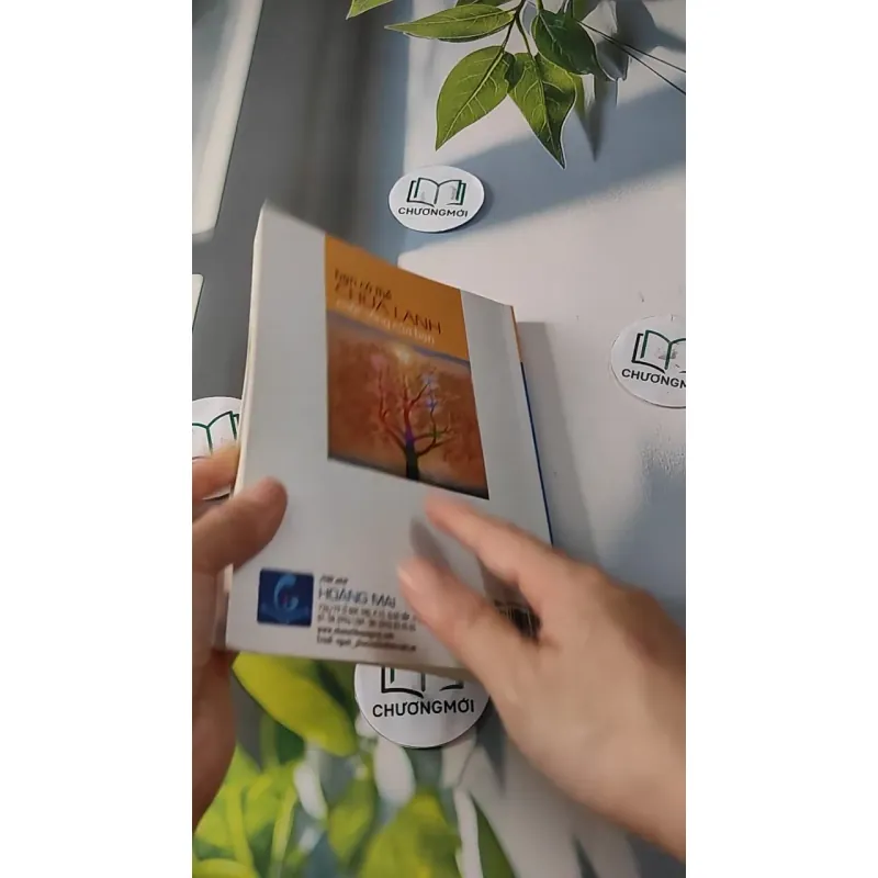 Bạn Có Thể Chữa Lành Cuộc Sống Của Bạn - Louise L. Hay 727270