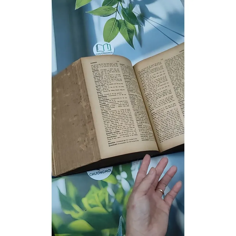 [MIỄN PHÍ BỌC SÁCH] Từ Điển Anh - Việt - Viện Ngôn Ngữ 750747