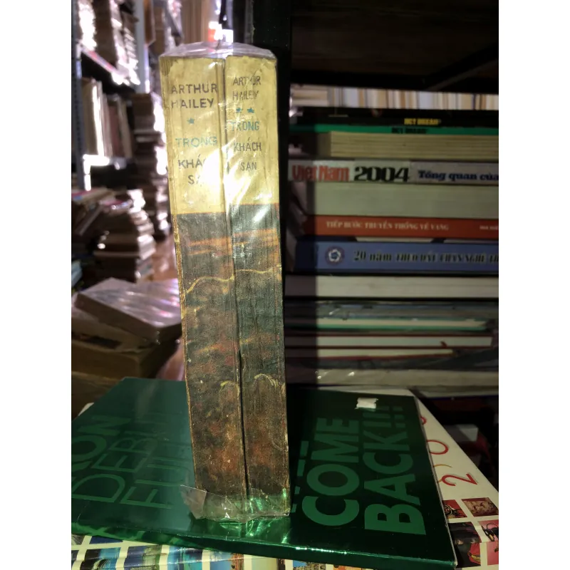 Trong khách sạn - Arthur Hailey 786636