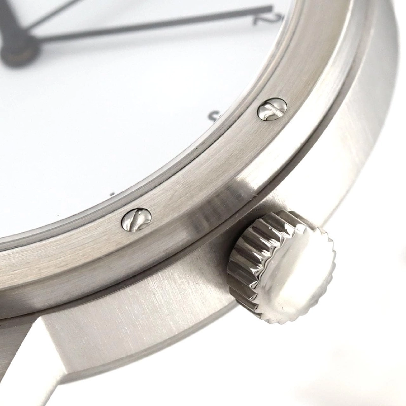 Đồng hồ tự động Shaurer Kleine Shaurer SS - Hàng hiệu Authentic 880450