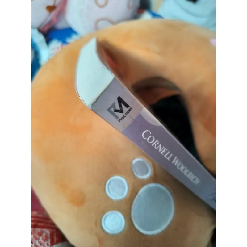 NGƯỜI ĐÀN BÀ TRONG ĐÊM - CORNELL WOOLRICH 926890