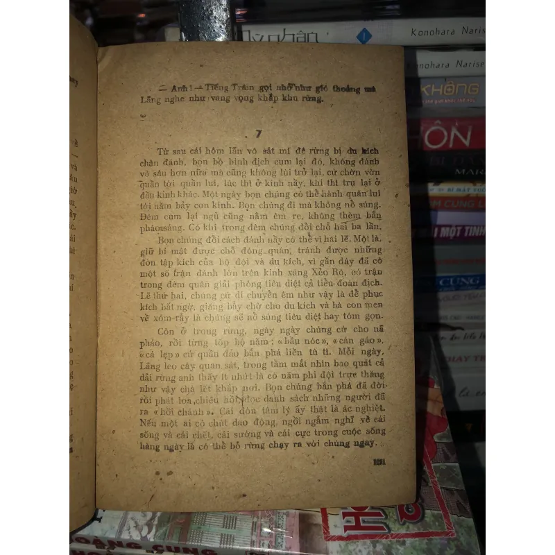 Rừng đất cháy - Nguyễn Linh 1039358
