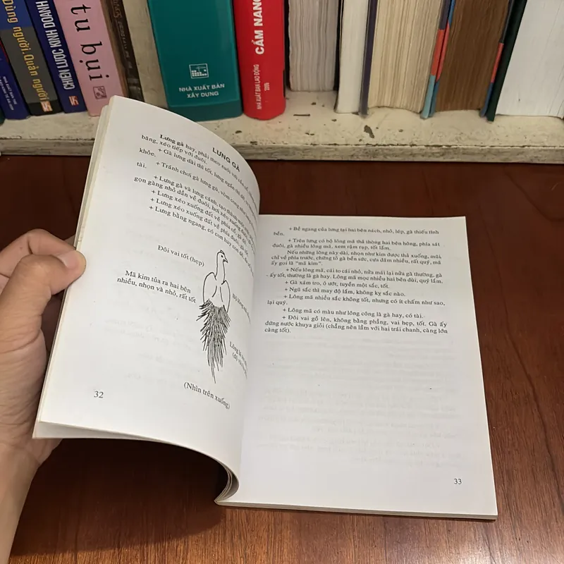 II Tựa Sách: Bí Quyết Chọn Và Nuôi Gà Đá - Xuân Tùng - 2010 607594