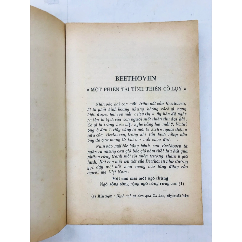 Beethoven Một Phiến Tài Tình Thiên Cổ Luỵ - Hoài Khanh dịch 130132