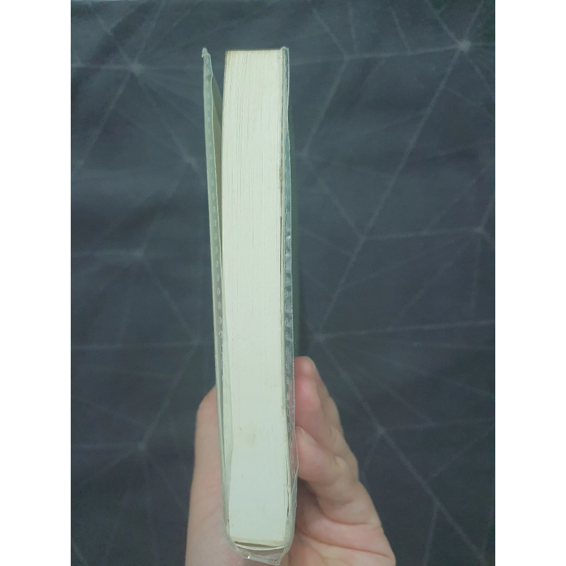 "Bản du ca cuối cùng" - Erich Maria Remarque 521557