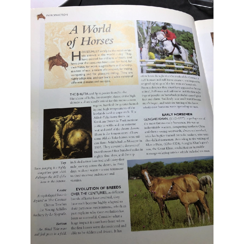 The Encyclopedia of Horses and Ponies MỚI 80% tróc góc bìa HPB2607 NGOẠI VĂN 451003