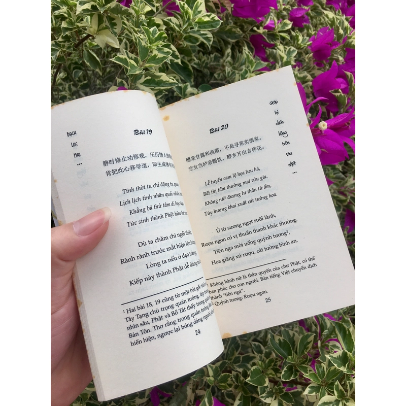 Phụ bản thơ Thương Ương Gia Thố 518580
