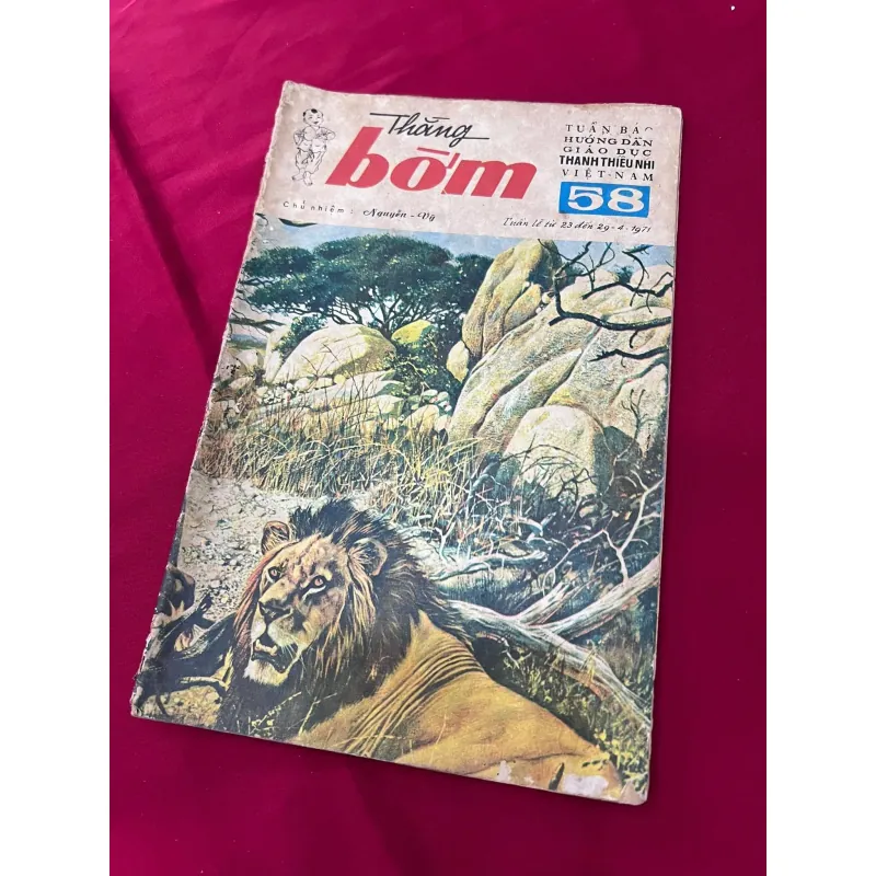 THẰNG BỜM - NGUYỄN VỸ 995439