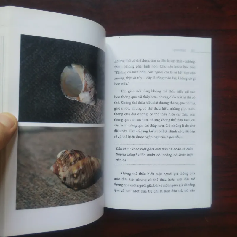 Upanishad - Áo Nghĩa Thư - Osho [Sách Tôn Giáo] Bản In Đầu Giấy Couche Full Color  1033136