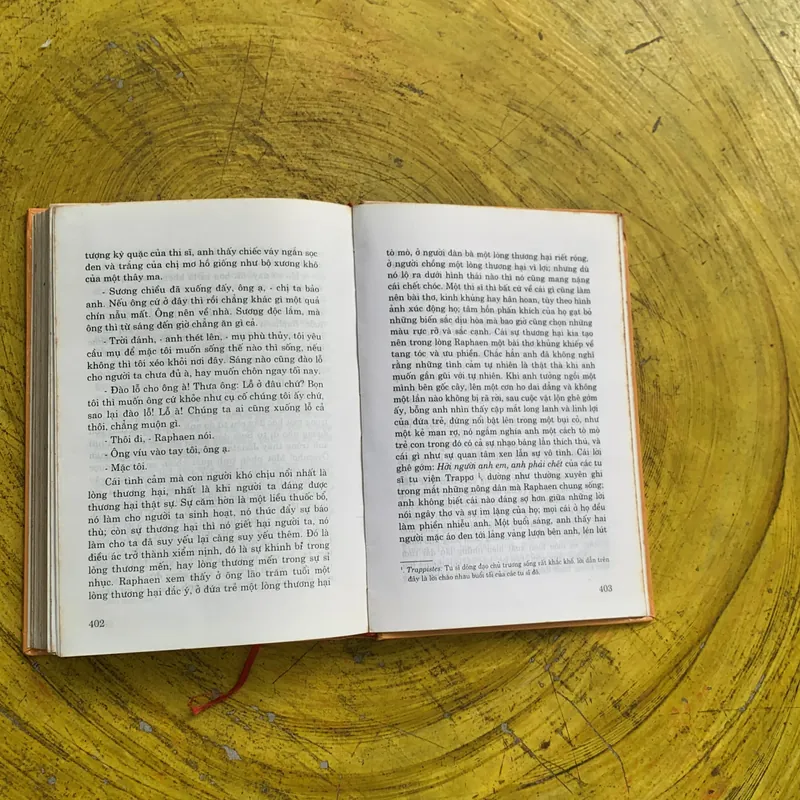 MIẾNG DA LỪA - ONORE DE BALZAC BÌA CỨNG 739579