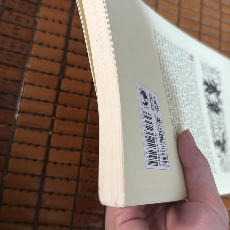 Lược sử tôn giao 479410