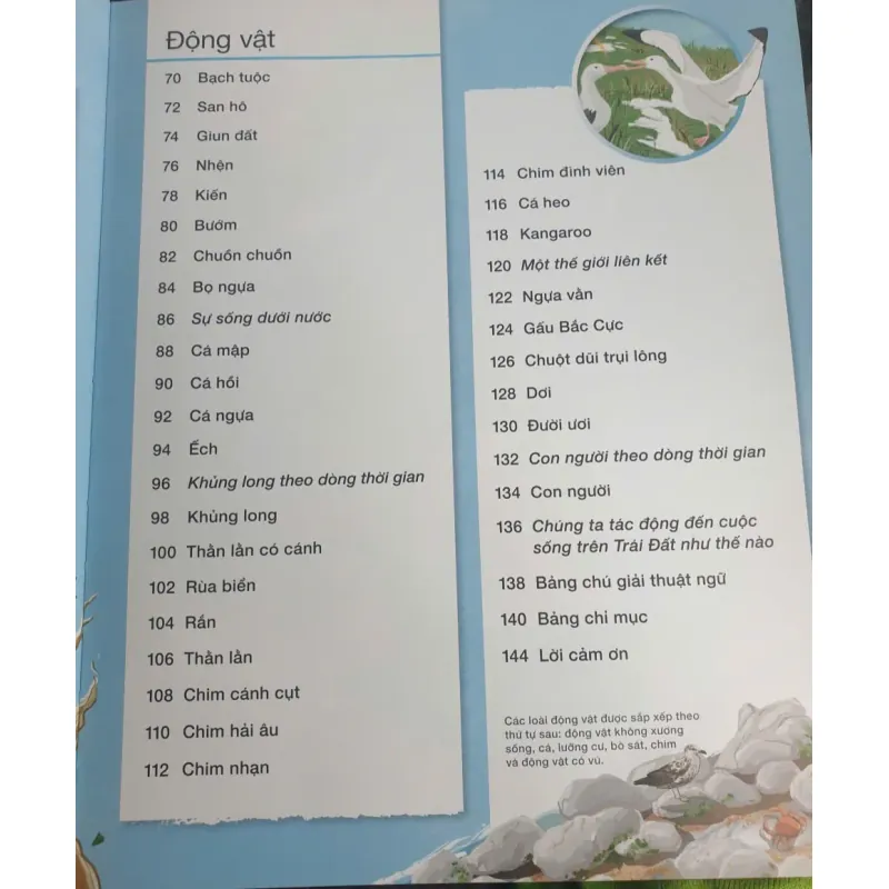 Vòng Đời - Vạn Vật Từ Khởi Đầu Cho Đến Kết Thúc 1009017