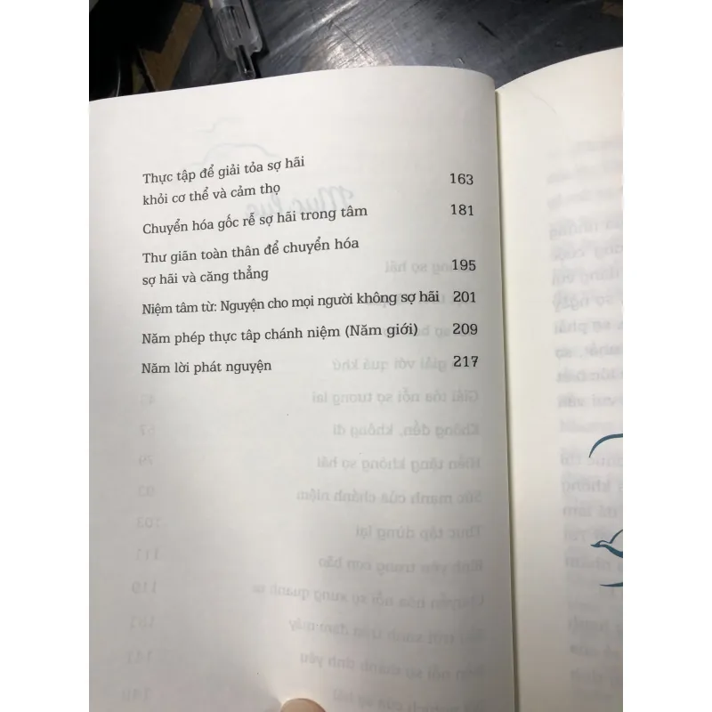 Sách của tác giả: Thích Nhất Hạnh 781744