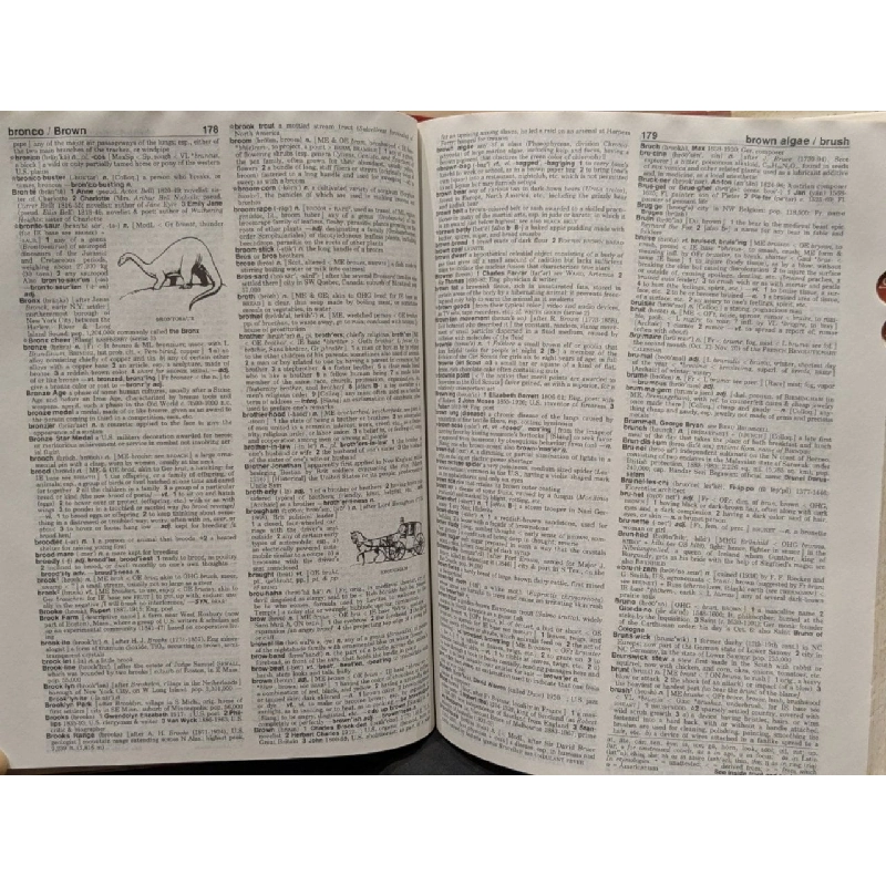 Webster's New World College Dictionary 1008365