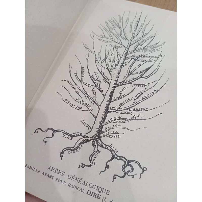 Dictionnaire étymologique - L. Lebrun, J. Toisoul 561212